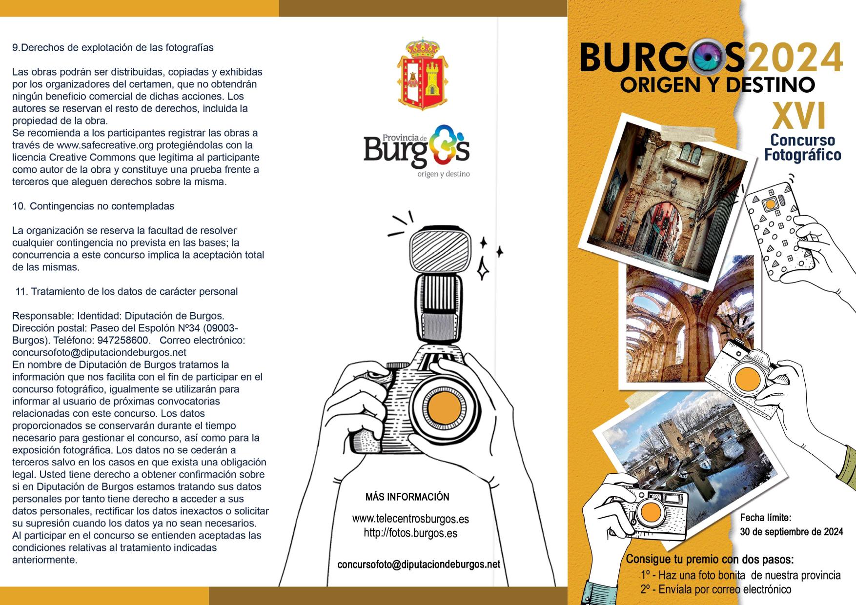 BASES 2