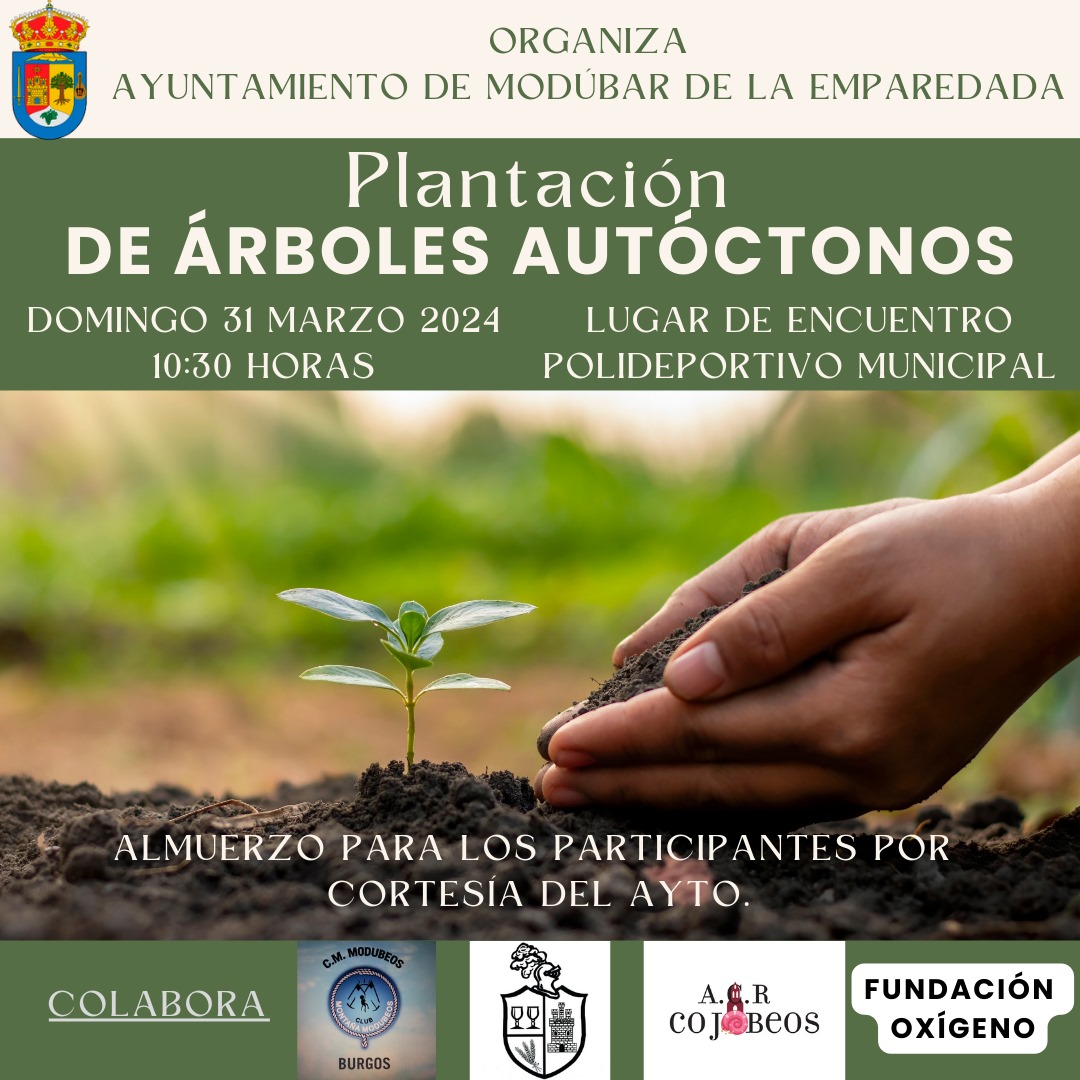 PLANTACIÓN DE ÁRBOLES AUTÓCTONOS